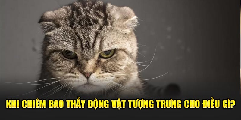 Khi chiêm bao thấy động vật tượng trưng cho điều gì?