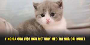 Ý Nghĩa Của Việc Ngủ Mơ Thấy Mèo Tại Nhà Cái KUBET