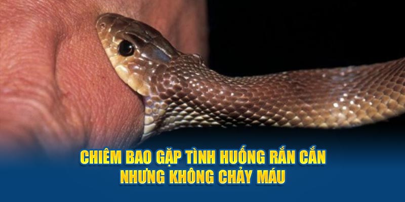 Chiêm bao gặp tình huống rắn cắn nhưng không chảy máu