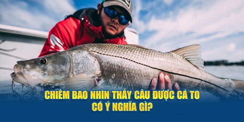 Chiêm bao nhìn thấy câu được cá to có ý nghĩa gì?