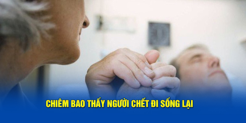 Nằm mơ thấy người chết đi sống lại đánh con gì?