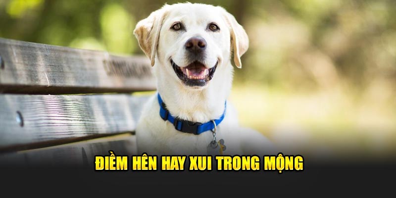 Điềm hên hay xui trong mộng