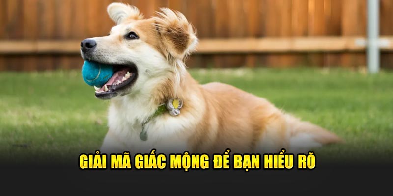 Giải mã giấc mộng để bạn hiểu rõ