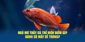 Ngủ Mơ Thấy Cá Thể Hiện Điềm Gì? Đánh Số Mấy Dễ Trúng?