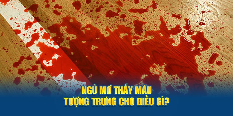 Ngủ mơ thấy máu tượng trưng cho điều gì? 