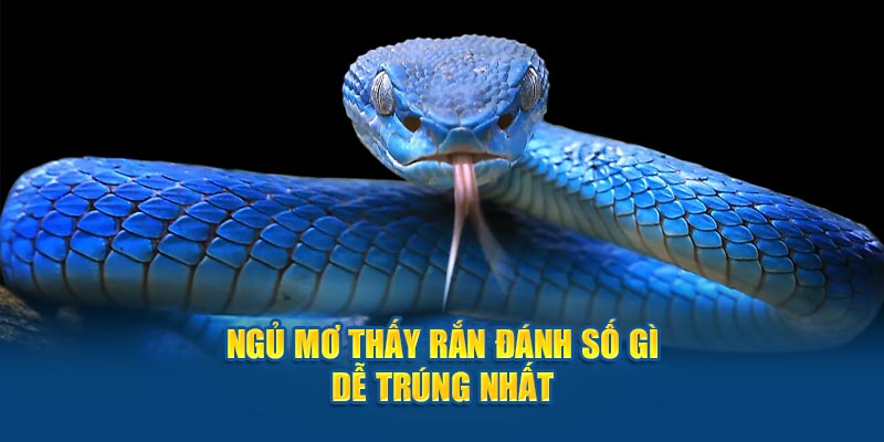 Ngủ mơ thấy rắn đánh số gì dễ trúng nhất