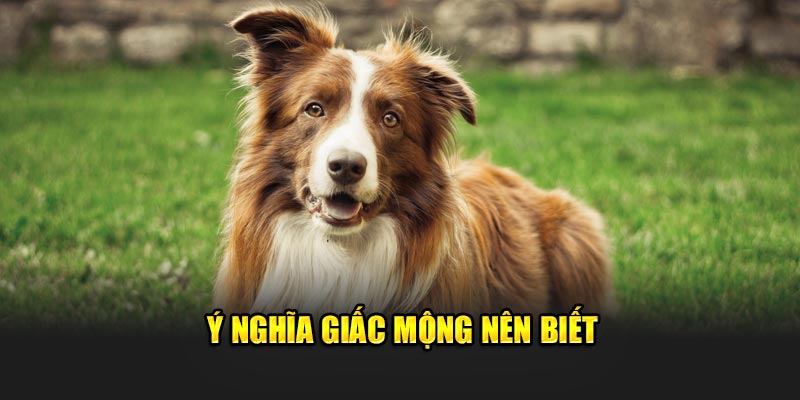 Ý nghĩa giấc mộng nên biết